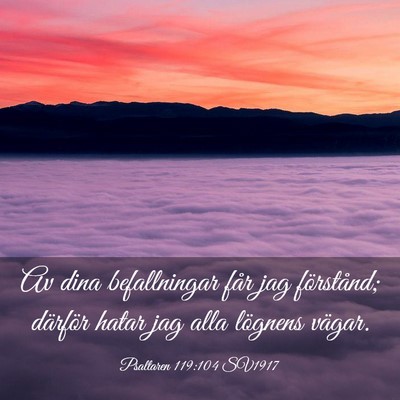 Picture 03 - Psaltaren 119:104 SV1917 - Av dina befallningar får jag förstånd; - Bible Verse Picture