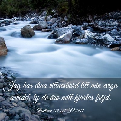 Picture 03 - Psaltaren 119:111 SV1917 - Jag har dina vittnesbörd till min eviga arvedel, - Bible Verse Picture