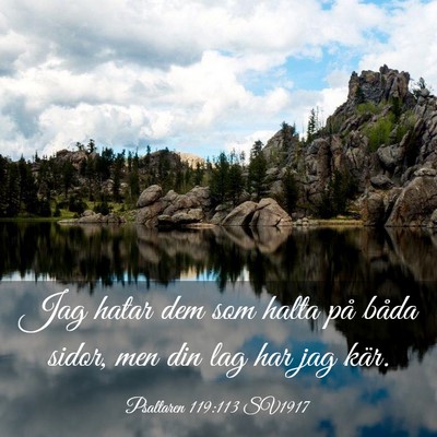 Picture 03 - Psaltaren 119:113 SV1917 - Jag hatar dem som halta på båda sidor, men din - Bible Verse Picture