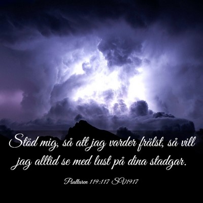 Picture 03 - Psaltaren 119:117 SV1917 - Stöd mig, så att jag varder frälst, så vill - Bible Verse Picture
