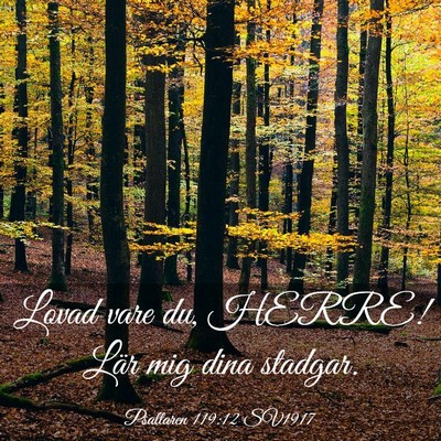Picture 03 - Psaltaren 119:12 SV1917 - Lovad vare du, HERRE! Lär mig dina - Bible Verse Picture