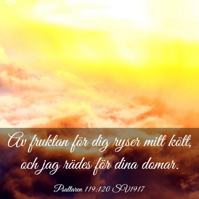 Picture 03 - Psaltaren 119:120 SV1917 - Av fruktan för dig ryser mitt kött, och jag - Bible Verse Picture