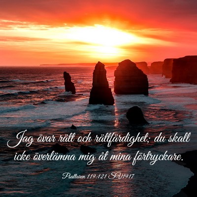 Picture 03 - Psaltaren 119:121 SV1917 - Jag övar rätt och rättfärdighet; du skall - Bible Verse Picture