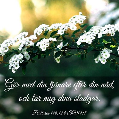 Picture 03 - Psaltaren 119:124 SV1917 - Gör med din tjänare efter din nåd, och lär - Bible Verse Picture