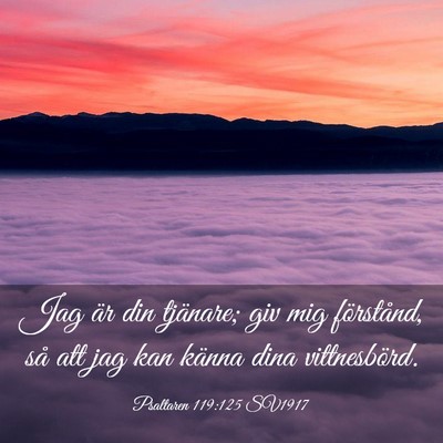 Picture 03 - Psaltaren 119:125 SV1917 - Jag är din tjänare; giv mig förstånd, så att - Bible Verse Picture