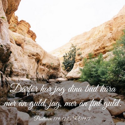 Picture 03 - Psaltaren 119:127 SV1917 - Därför har jag dina bud kära mer än guld, - Bible Verse Picture