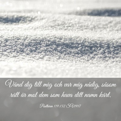 Picture 03 - Psaltaren 119:132 SV1917 - Vänd dig till mig och var mig nådig, såsom - Bible Verse Picture