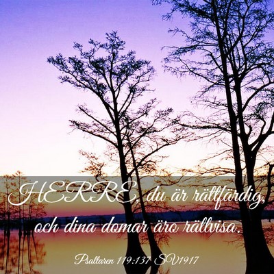 Picture 03 - Psaltaren 119:137 SV1917 - HERRE, du är rättfärdig, och dina domar äro - Bible Verse Picture