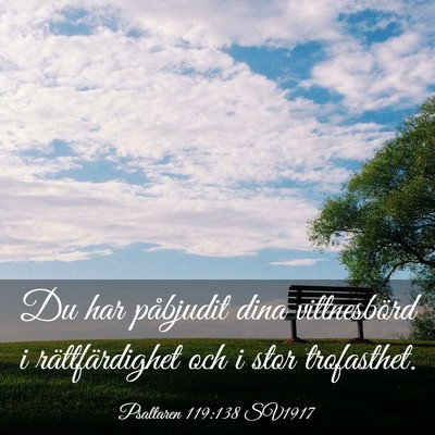 Picture 03 - Psaltaren 119:138 SV1917 - Du har påbjudit dina vittnesbörd i - Bible Verse Picture