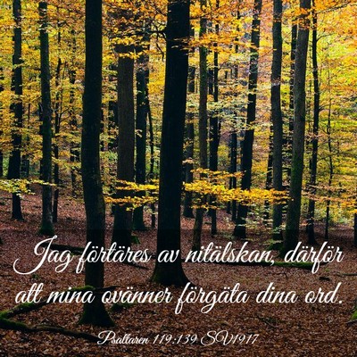 Picture 03 - Psaltaren 119:139 SV1917 - Jag förtäres av nitälskan, därför att mina - Bible Verse Picture