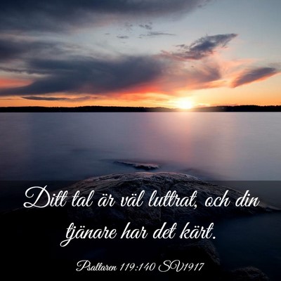 Picture 03 - Psaltaren 119:140 SV1917 - Ditt tal är väl luttrat, och din tjänare har - Bible Verse Picture