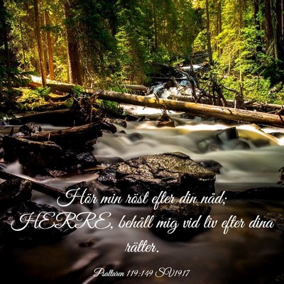 Picture 03 - Psaltaren 119:149 SV1917 - Hör min röst efter din nåd; HERRE, behåll mig - Bible Verse Picture