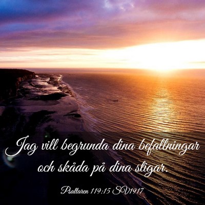 Picture 03 - Psaltaren 119:15 SV1917 - Jag vill begrunda dina befallningar och skåda - Bible Verse Picture