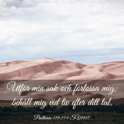 Picture 03 - Psaltaren 119:154 SV1917 - Utför min sak och förlossa mig; behåll mig vid - Bible Verse Picture