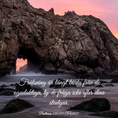 Picture 03 - Psaltaren 119:155 SV1917 - Frälsning är långt borta från de ogudaktiga, - Bible Verse Picture