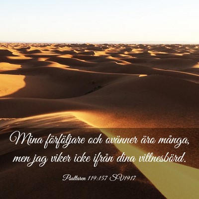 Picture 03 - Psaltaren 119:157 SV1917 - Mina förföljare och ovänner äro många, men - Bible Verse Picture