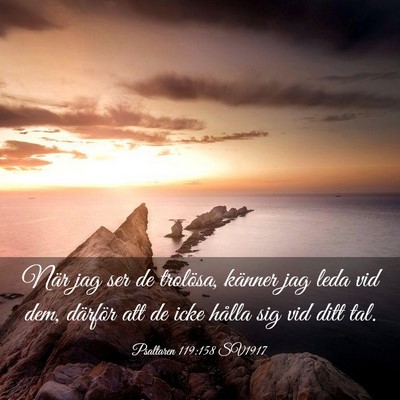 Picture 03 - Psaltaren 119:158 SV1917 - När jag ser de trolösa, känner jag leda vid - Bible Verse Picture
