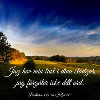 Picture 03 - Psaltaren 119:16 SV1917 - Jag har min lust i dina stadgar, jag förgäter - Bible Verse Picture