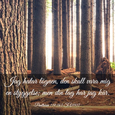 Picture 03 - Psaltaren 119:163 SV1917 - Jag hatar lögnen, den skall vara mig en - Bible Verse Picture