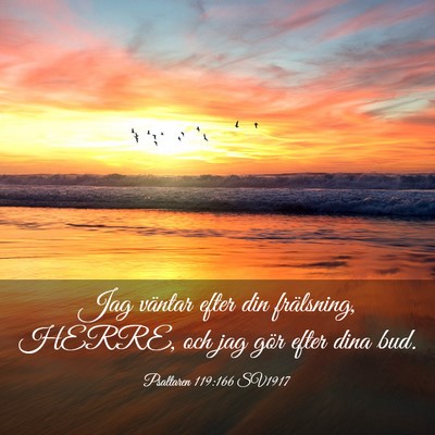 Picture 03 - Psaltaren 119:166 SV1917 - Jag väntar efter din frälsning, HERRE, och jag - Bible Verse Picture
