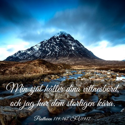 Picture 03 - Psaltaren 119:167 SV1917 - Min själ håller dina vittnesbörd, och jag har - Bible Verse Picture