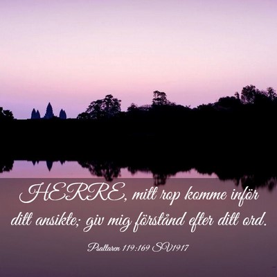Picture 03 - Psaltaren 119:169 SV1917 - HERRE, mitt rop komme inför ditt ansikte; giv - Bible Verse Picture