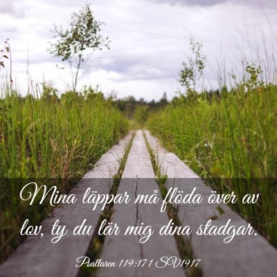 Picture 03 - Psaltaren 119:171 SV1917 - Mina läppar må flöda över av lov, ty du lär - Bible Verse Picture