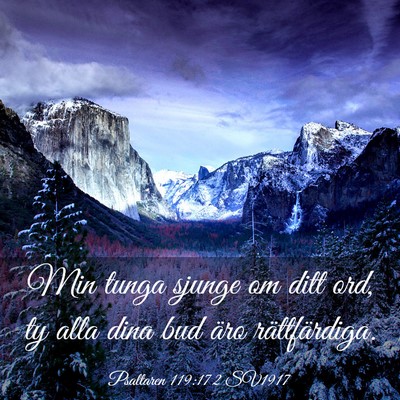 Picture 03 - Psaltaren 119:172 SV1917 - Min tunga sjunge om ditt ord, ty alla dina bud - Bible Verse Picture