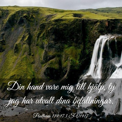 Picture 03 - Psaltaren 119:173 SV1917 - Din hand vare mig till hjälp, ty jag har utvalt - Bible Verse Picture