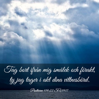 Picture 03 - Psaltaren 119:22 SV1917 - Tag bort ifrån mig smälek och förakt, ty jag - Bible Verse Picture