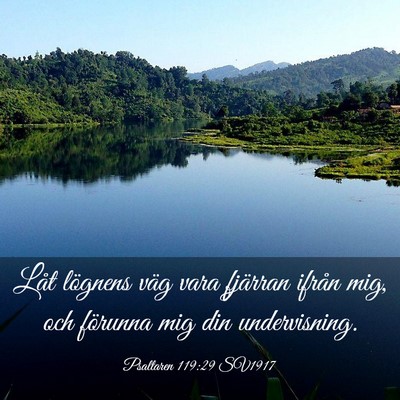 Picture 03 - Psaltaren 119:29 SV1917 - Låt lögnens väg vara fjärran ifrån mig, och - Bible Verse Picture
