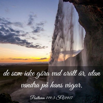 Picture 03 - Psaltaren 119:3 SV1917 - de som icke göra vad orätt är, utan vandra på - Bible Verse Picture