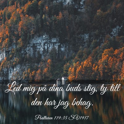 Picture 03 - Psaltaren 119:35 SV1917 - Led mig på dina buds stig, ty till den har jag - Bible Verse Picture