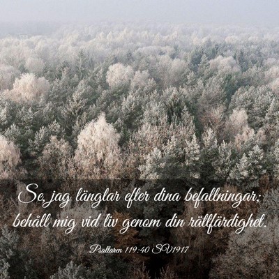 Picture 03 - Psaltaren 119:40 SV1917 - Se, jag längtar efter dina befallningar; behåll - Bible Verse Picture