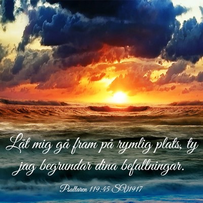 Picture 03 - Psaltaren 119:45 SV1917 - Låt mig gå fram på rymlig plats, ty jag - Bible Verse Picture