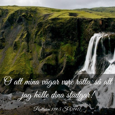 Picture 03 - Psaltaren 119:5 SV1917 - O att mina vägar vore rätta, så att jag hölle - Bible Verse Picture