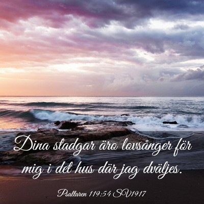 Picture 03 - Psaltaren 119:54 SV1917 - Dina stadgar äro lovsånger för mig i det hus - Bible Verse Picture