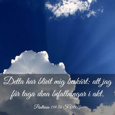 Picture 03 - Psaltaren 119:56 SV1917 - Detta har blivit mig beskärt: att jag får taga - Bible Verse Picture