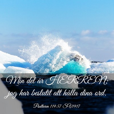 Picture 03 - Psaltaren 119:57 SV1917 - Min del är HERREN; jag har beslutit att hålla - Bible Verse Picture