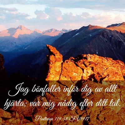 Picture 03 - Psaltaren 119:58 SV1917 - Jag bönfaller inför dig av allt hjärta; var - Bible Verse Picture