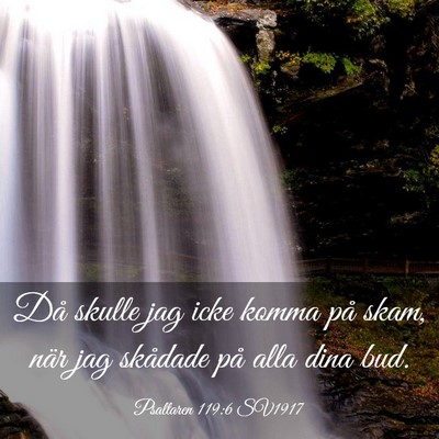 Picture 03 - Psaltaren 119:6 SV1917 - Då skulle jag icke komma på skam, när jag - Bible Verse Picture