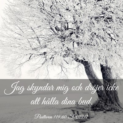 Picture 03 - Psaltaren 119:60 SV1917 - Jag skyndar mig och dröjer icke att hålla dina - Bible Verse Picture