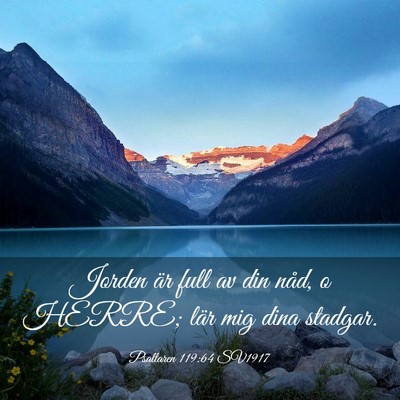 Picture 03 - Psaltaren 119:64 SV1917 - Jorden är full av din nåd, o HERRE; lär mig - Bible Verse Picture