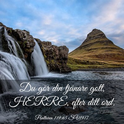 Picture 03 - Psaltaren 119:65 SV1917 - Du gör din tjänare gott, HERRE, efter ditt - Bible Verse Picture