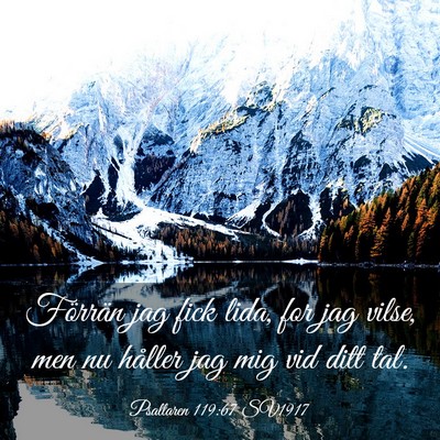 Picture 03 - Psaltaren 119:67 SV1917 - Förrän jag fick lida, for jag vilse, men nu - Bible Verse Picture