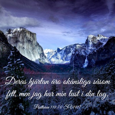 Picture 03 - Psaltaren 119:70 SV1917 - Deras hjärtan äro okänsliga såsom fett, men - Bible Verse Picture