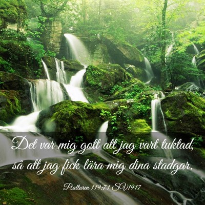 Picture 03 - Psaltaren 119:71 SV1917 - Det var mig gott att jag vart tuktad, så att jag - Bible Verse Picture