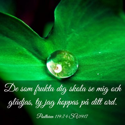 Picture 03 - Psaltaren 119:74 SV1917 - De som frukta dig skola se mig och glädjas, ty - Bible Verse Picture