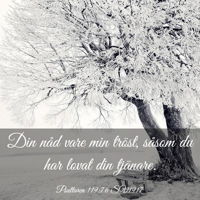 Picture 03 - Psaltaren 119:76 SV1917 - Din nåd vare min tröst, såsom du har lovat din - Bible Verse Picture