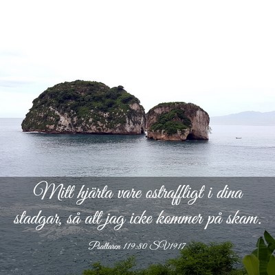 Picture 03 - Psaltaren 119:80 SV1917 - Mitt hjärta vare ostraffligt i dina stadgar, så - Bible Verse Picture
